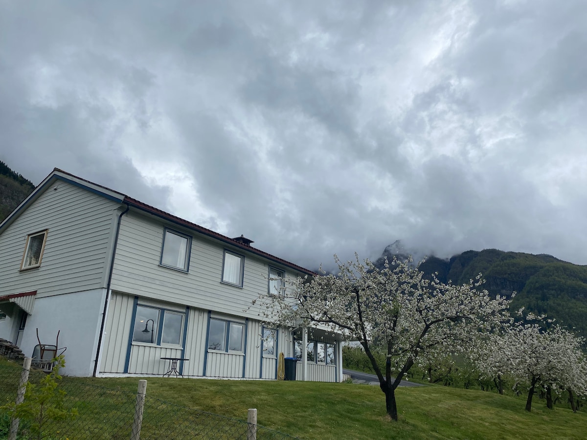 An exterior view of a two-story house is framed by blooming cherry trees. The building features large windows and a sloped roof, set against a backdrop of cloudy mountains. A grassy area surrounds the home, providing space for outdoor seating options.
