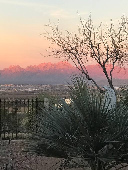 A glass of wine-relax-watch sunset & city lights.