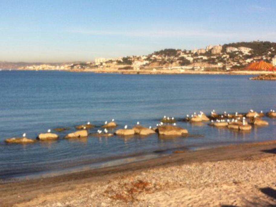 studio 35 m2 à 5 min à pied des plages.