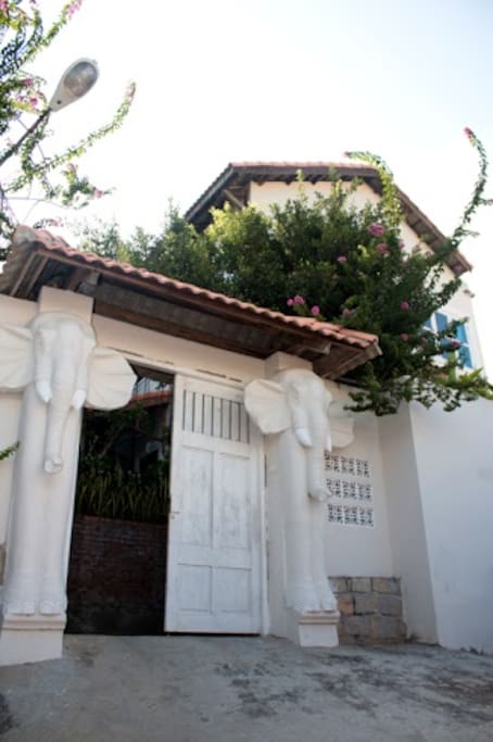 Welcome to the Elephant house. Your tropical home away from home.