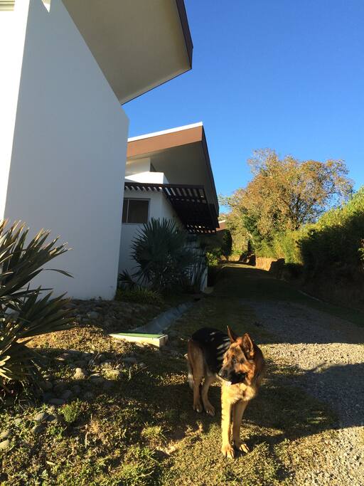 La entrada principal de la casa