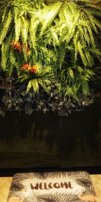 栖居门口绿植墙