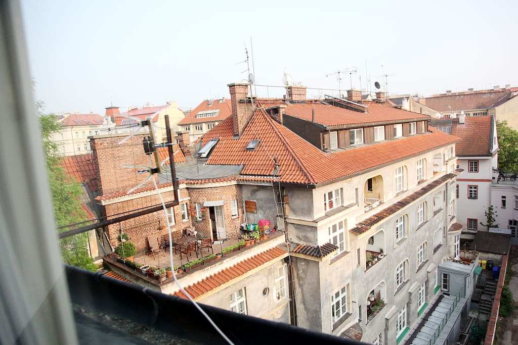 Nice views from all windows