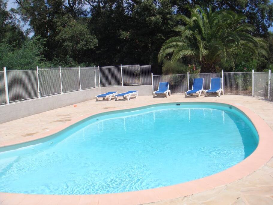 PISCINE COLLECTIVE