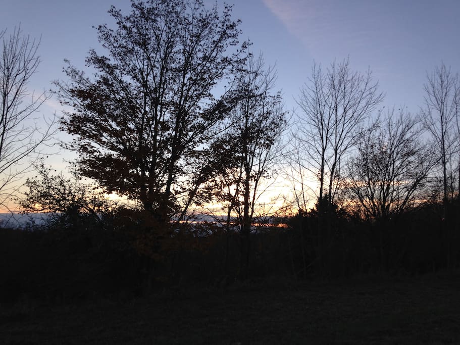 Top field at sunset