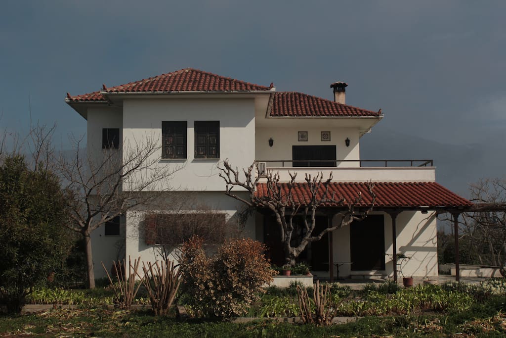 the house