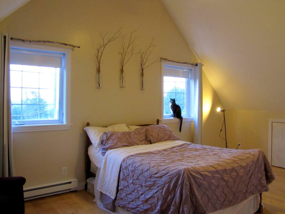 The Guest Room!