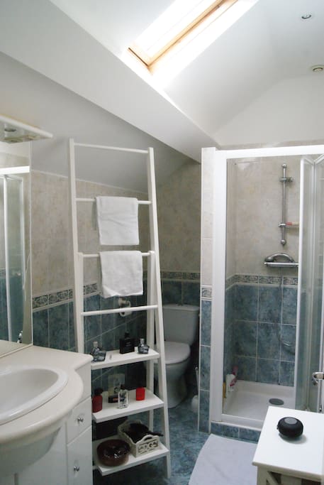 salle d'eau privative avec WC