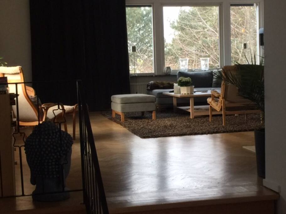 Living area for social life