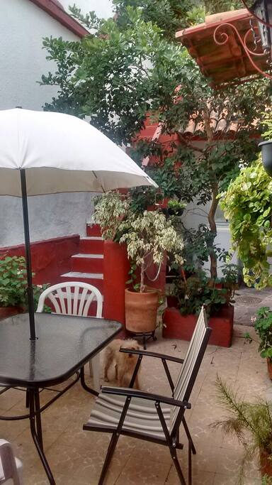 Terraza de abajo