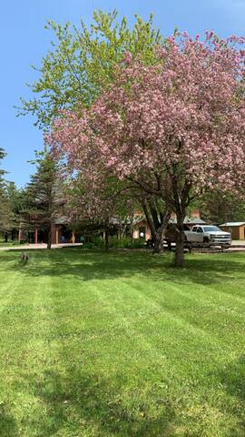 Mille Lacs Lodge – A place in the woods. gallery image 5