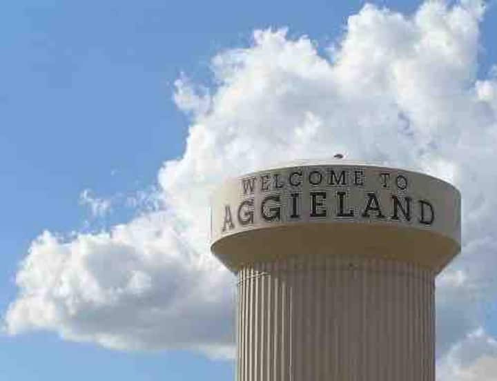 Comfortable 2 Bedroom Apartment - Bryan, TX