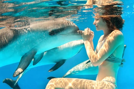 NEW Secret Keys Waterfront Hideout has EVERYTHING!