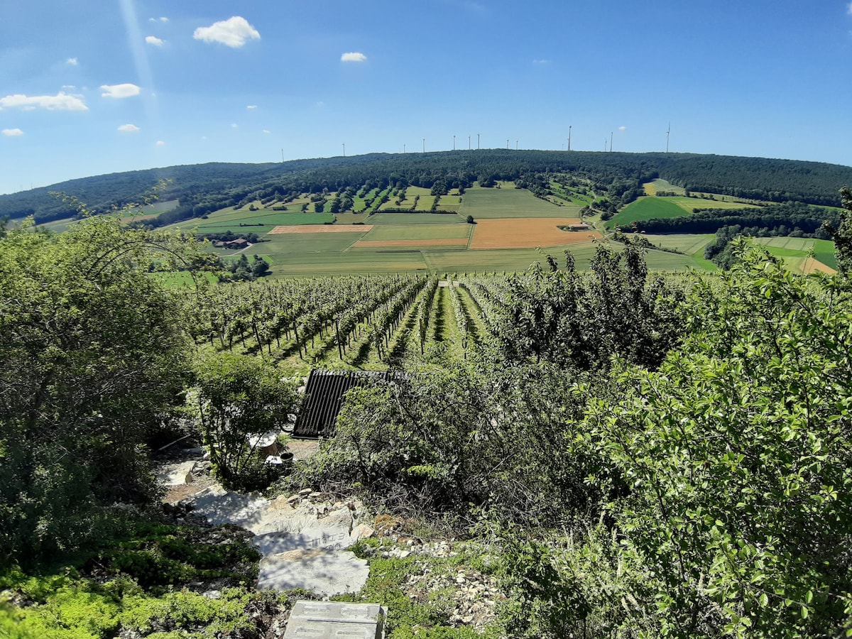 A scenic view of lush vineyards stretches across rolling hills under a clear blue sky. The landscape is dotted with trees and fields, showcasing various shades of green and gold. Wind turbines can be seen in the distance, contributing to the serene rural atmosphere.