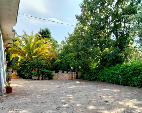 Casa privata a Locorotondo – Puglia gallery image 2