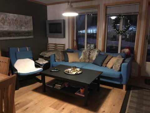 Centrally located great apartment by Vestlia