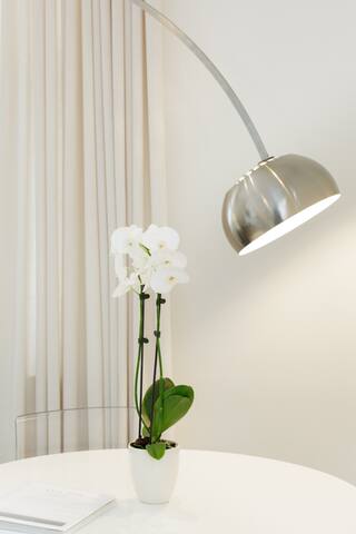 Walk to the French Quarter from Financial District Apartment gallery image 2