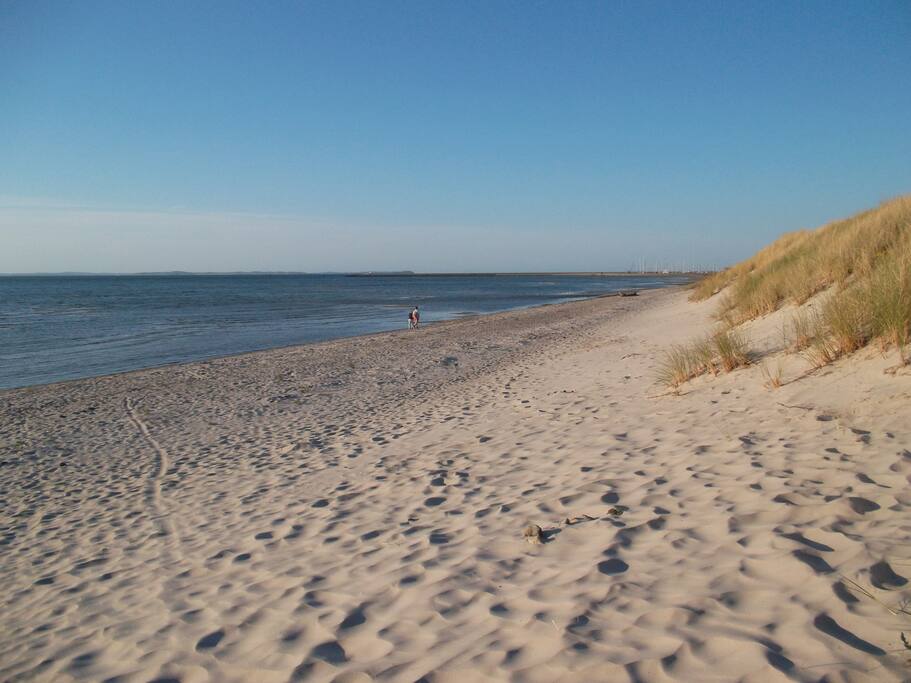 Strand am Hafen