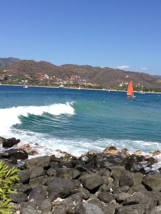 Welcome to the bay!
Bien venid@s a la bahia!