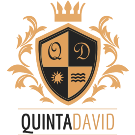 Quinta님의 프로필 사진