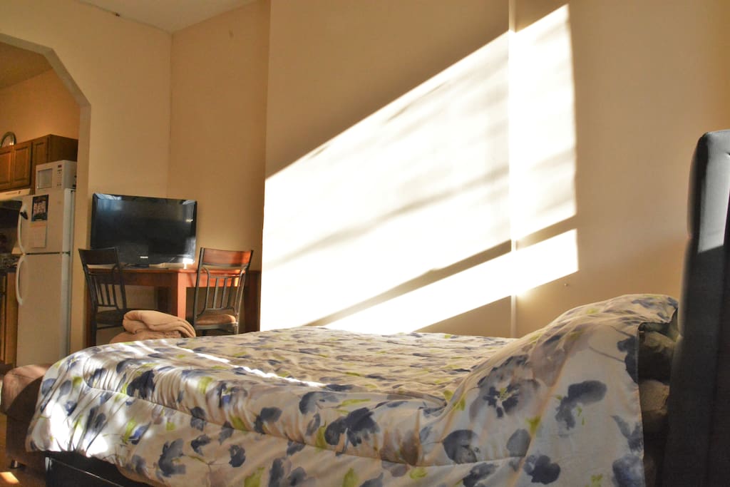The apt faces South, so it gets good light all day long.