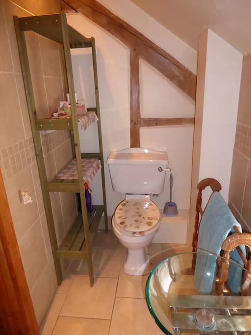 Wet Room and WC