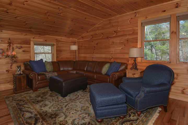 Зона за настаняване с кожен (двоен спален) диван