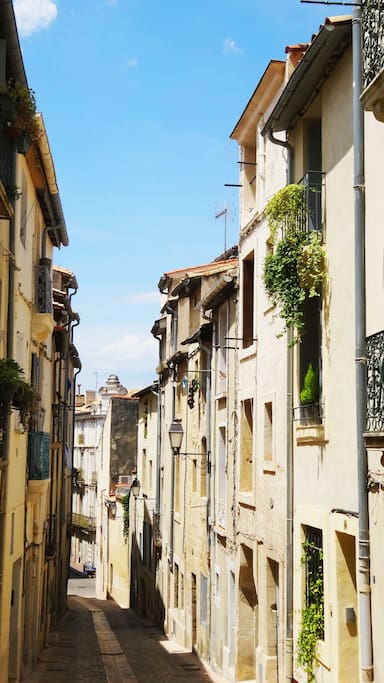 Votre petite rue, calme, pavée et piétonne