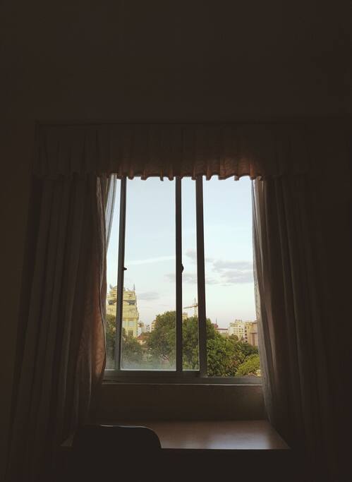 Window view
