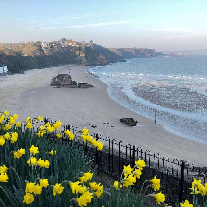 Edward Street, Tenby, 4 bed, 8 adults, 2 children