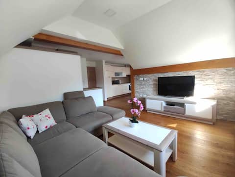 Apartma Mojca - mountain view  4