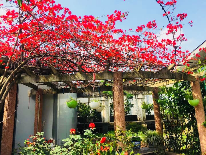 重庆市重庆南站十大推荐家庭旅馆 Airbnb爱彼迎 重庆市重庆南站十大推荐家庭旅馆 Airbnb爱彼迎