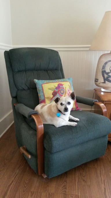 Buddy's chair
Pet friendly. Pets are only allowed in the house and out the fenced back yard. Never out the front door without a leash, due to street traffic.