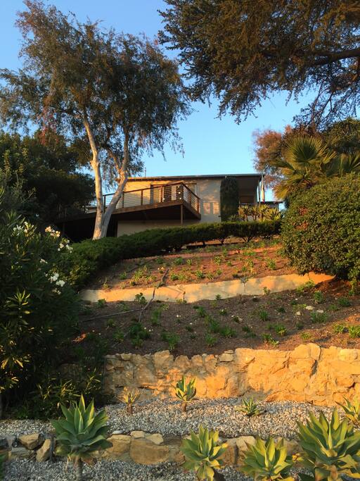 House on the hill.