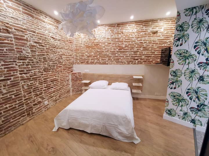 Apartment in the historical center of Toulouse Apartments for Rent in Toulouse, Occitanie