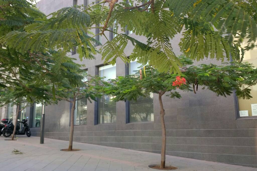 Fachada del edificio