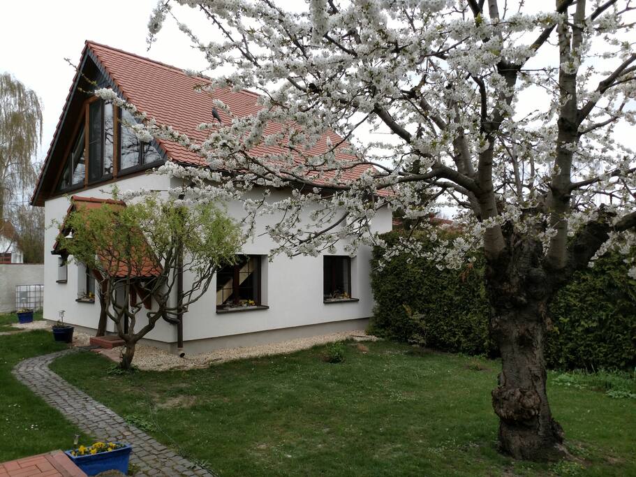 Ferienhaus