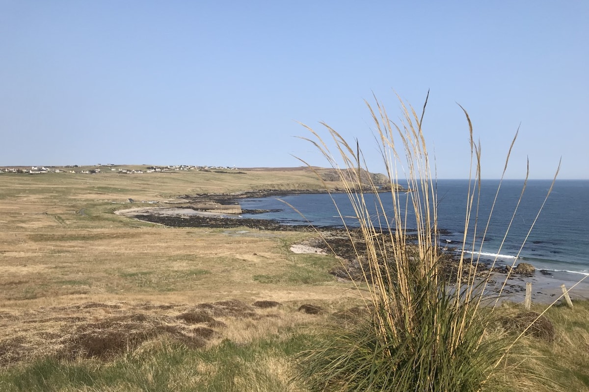 A coastal landscape features sandy beaches meeting rocky shores, bordered by rolling grasslands. Tall grass sways gently in the foreground while the clear blue sea stretches into the horizon, highlighting the serene natural beauty of the area.