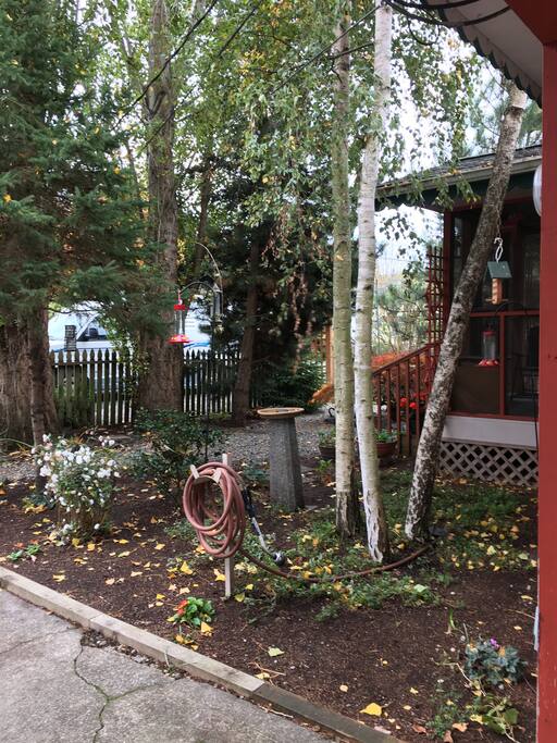 A summer shot of the front yard.