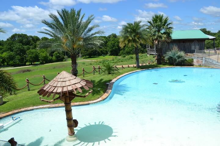 Las Palmas Tree Haus Cloud Lane Treehouses For Rent In New