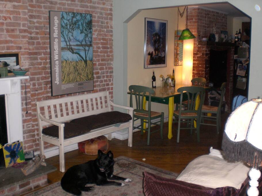Living room into kitchen area with doggie