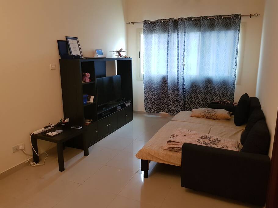 Pull out couch and TV cabinet