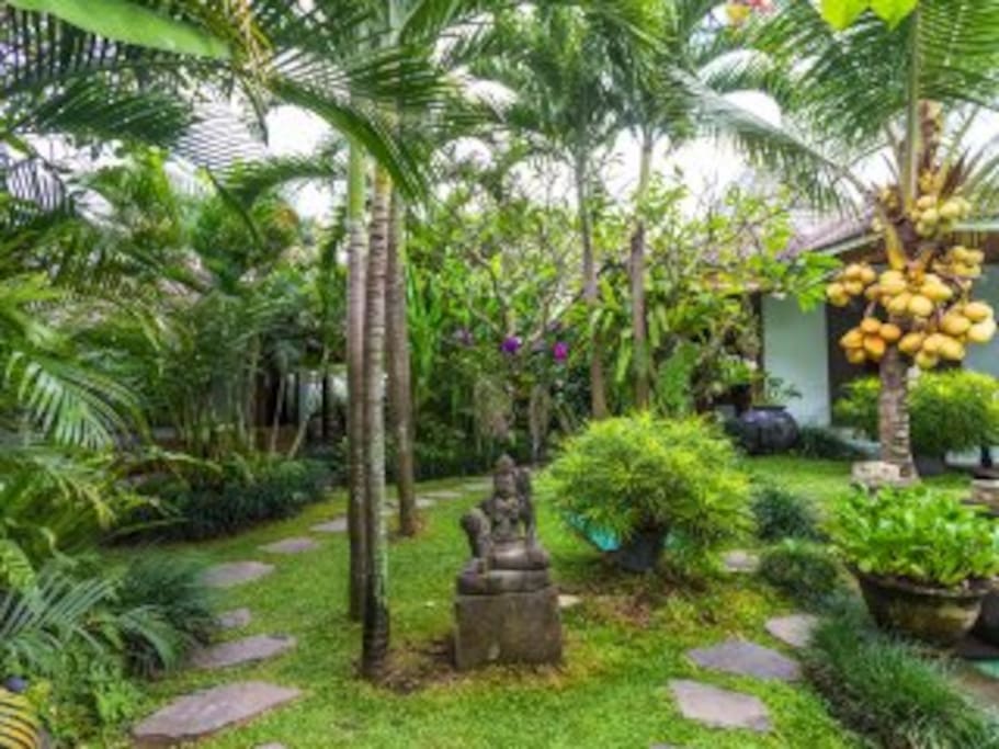 Pathway to Garden Suite