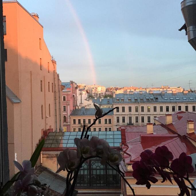 Window view. Вид из окна на зимний сад