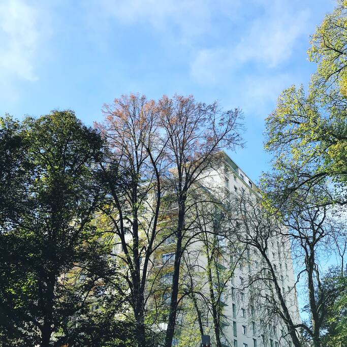 Angrenzender Volksgarten