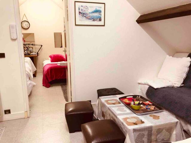 Paris 15 mn, Orly aéroport 15mn