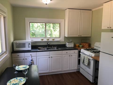 Cute Cottage on Deer Lake - 4mi to Boyne Mountain
