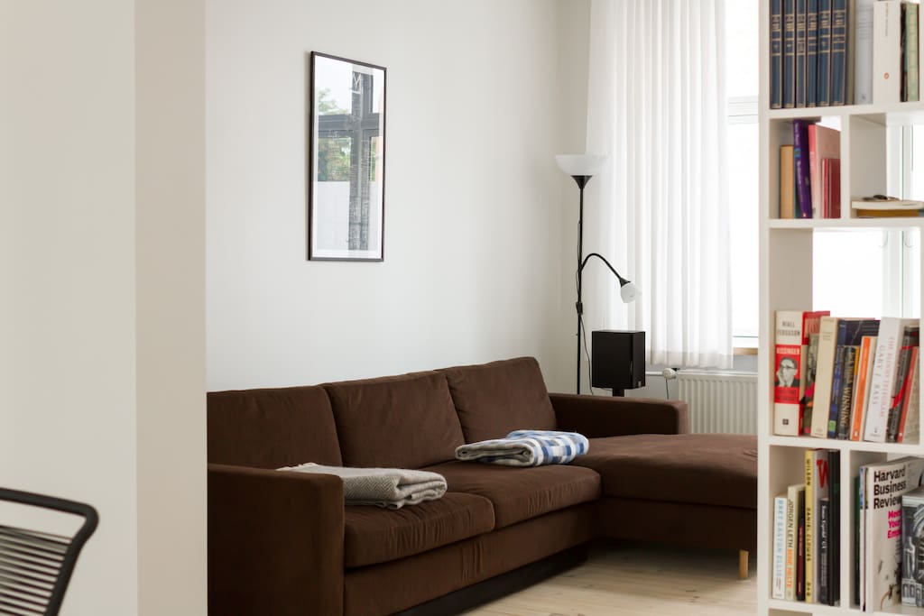 Living room with fold out couch