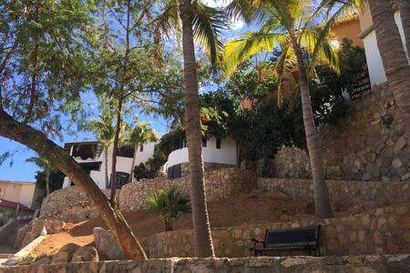 Cabo Center,Ocean view Great price!