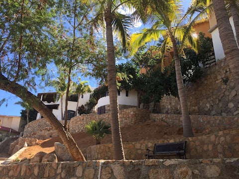 Cabo Center,Ocean view Great price!